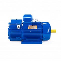 Электродвигатель 5MTH 280 S6 75/955 IM1003