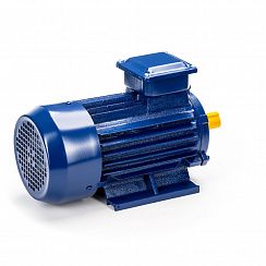Эл.двигатель 5АИ 90 L2 3/3000 IM 1081