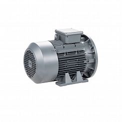 Электродвигатель ESQ TR 112 MA2-SDN-IE2 4/3000 IMB35