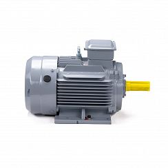 Электродвигатель ESQ PR 160 M4 GST-Б1-S12-IE2 18,5/1500 IM1001