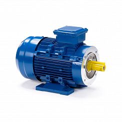 Электродвигатель ESQ 63 B2-SDN- 0,25/3000 IMB34