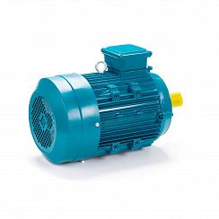 Электродвигатель ESQ 112 MA2-SDN-DS 4/3000 IMB14