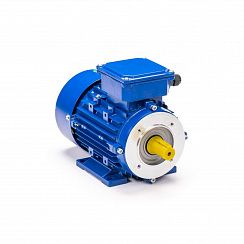Электродвигатель 5АИ 63 В4 FT100 0,37/1500 IM2181