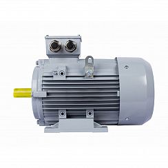 Электродвигатель ESQ PR 160 MA2-SDN-Б1-S12-IE3 11/3000 IMB3