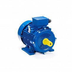 Эл.двигатель ESQ 100 LB2-SDN- 4/3000 IM B3