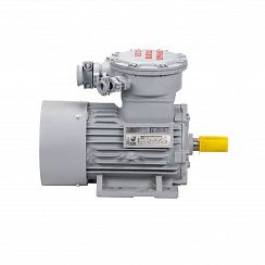 Электродвигатель АИМУР 200 L2 У2,5 380/660В, класс изоляции F, РВЕхdbI Mb X, РТС (статор), подшипники SKF, 45/3000 IM1001